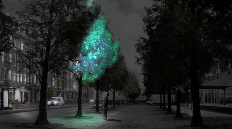 leuchtender baum in der stadt konzept ohne stromverbrauch durch biolumineszenz lampe