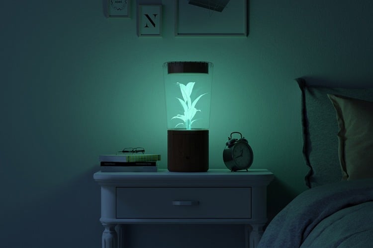 nachtlicht neben schlafbett mit biolumineszenz innovatives design