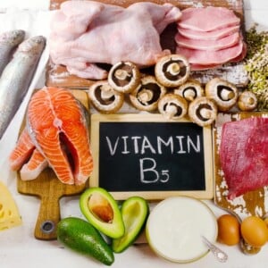 pilze champignons fisch fleisch milchprodukte reich an vitamin b5