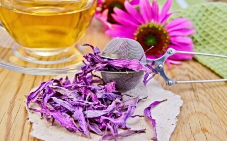 teezubereitung aus getrockneten lila blüten aus purpursonnenhut