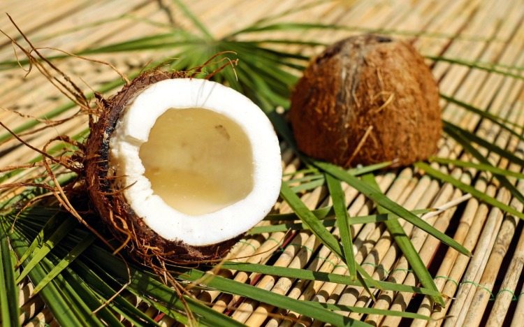 von sonne bestrahltes kokos gegen zecken wirksam
