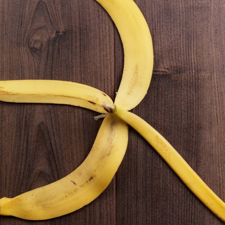 Bananenschalen von Bio-Bananen trocknen und als Düngemittel verwenden