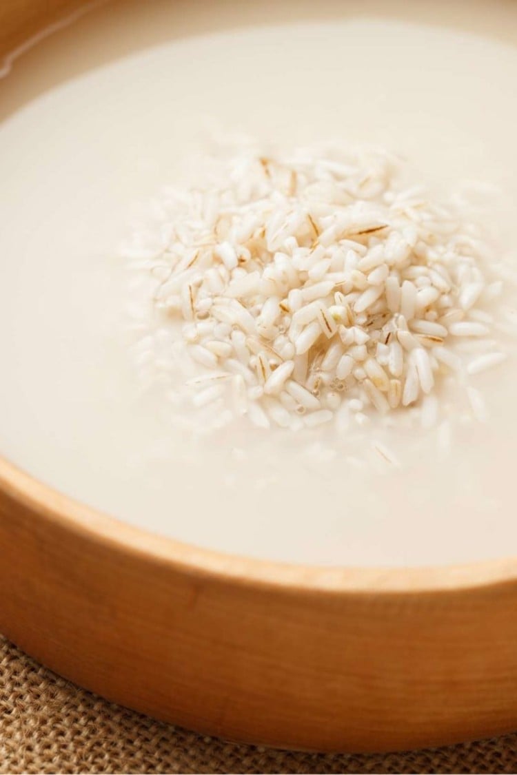 Mit Kartoffel- oder Reiswasser Orchideen düngen - Reis kochen und mit dem Kochwasser gießen
