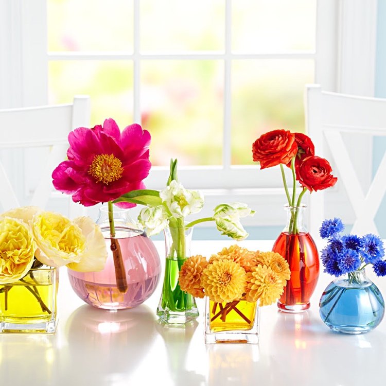 Moderne Sommerdeko mit Blumen in Vasen mit farbigem Wasser