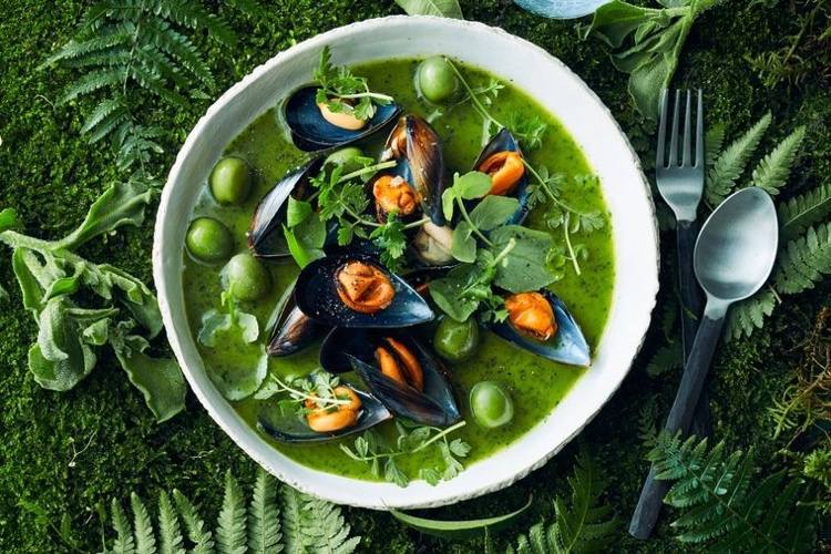 Muschelsalat mit Oliven und Dressing aus Kräutern als Vorspeise servieren