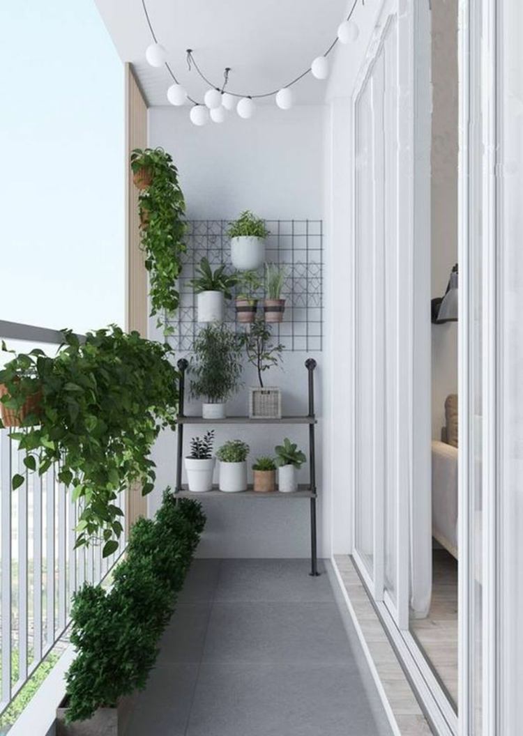Pflanzen als Balkon Wanddeko an einem Gitter aus Metall