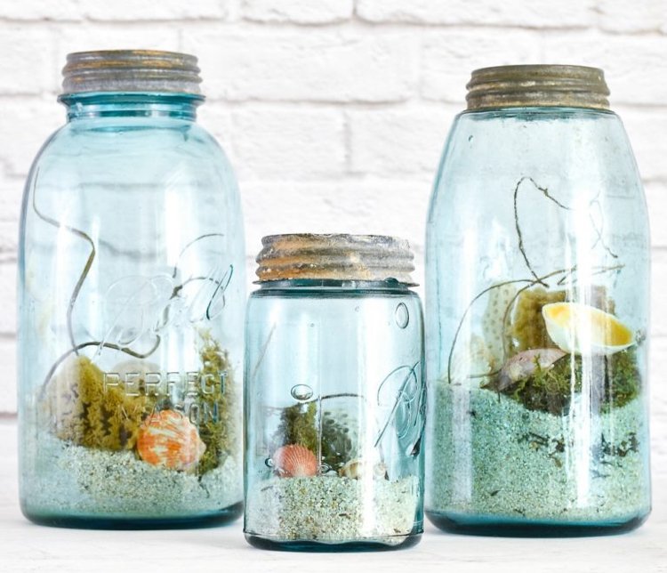 Sommerdeko im Marmeladenglas selber machen Ideen mit Tillandsien und Moos und Sand