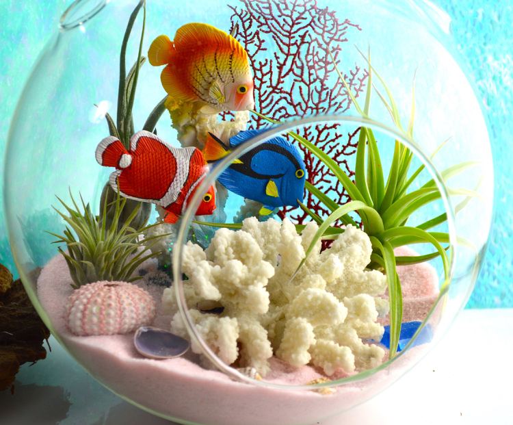 Sommerdeko im runden Glas oder Terrarium selber basteln mit Fisch-Figuren und Korallen und Tillandsien