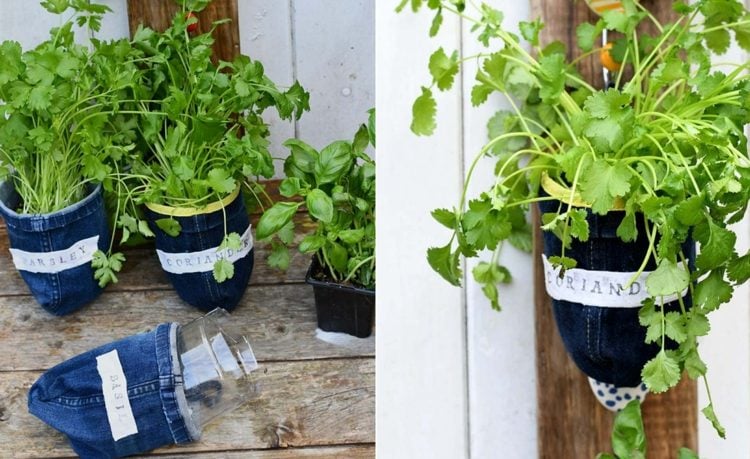 Upcycling von Jeans - Wanddeko für den Garten mit Gewürzpflanzen im Topf