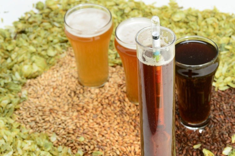drei biersorten in biergläsern und eine probe mit hydrometer bestimmen schwerkraft und alkoholgehalt