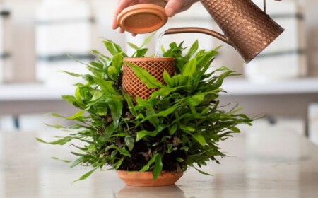 gießkanne aus kupfer zum befüllen von wasser in keramisches pflanzgefäß mit pflanzen ohne erde