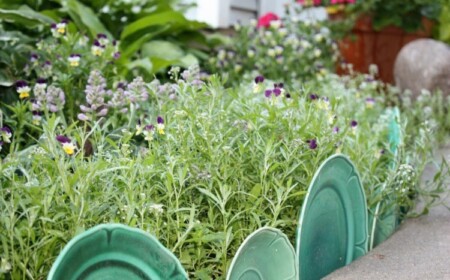 grünes geschirr als gartenumrandung am gartenweg vor pflazen angeordnet