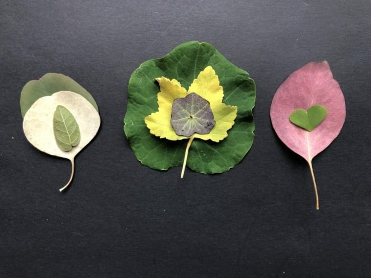 Make beautiful collages with children from leaves