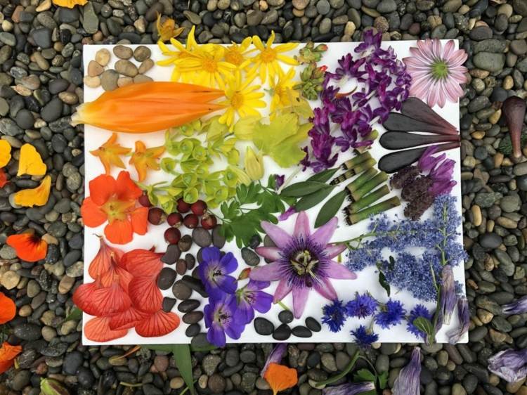 Basteln mit Naturmaterialien wie Blüten für sommerliche Bilder und Collagen
