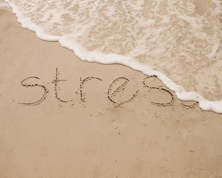 Cortisol als Stresshormon regulieren