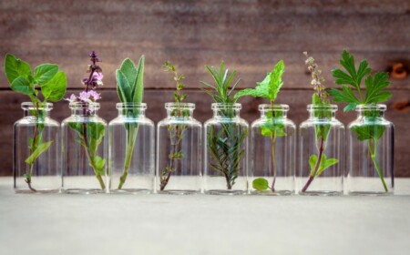 Juckreiz lindern mit ätherischen Ölen nach Insektenstichen oder -bissen