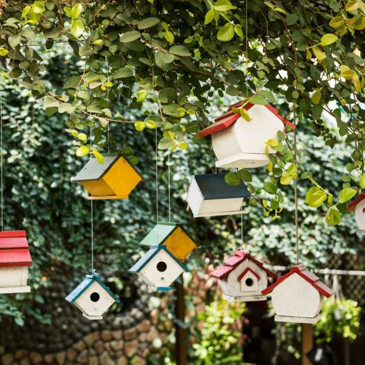 Vogelhäuser als nützliche Gartendeko an Bäume hängen
