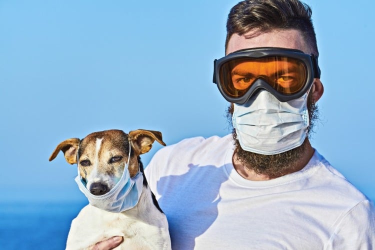 coronavirus von hund auf mensch übertragbar schutzmaske tragen