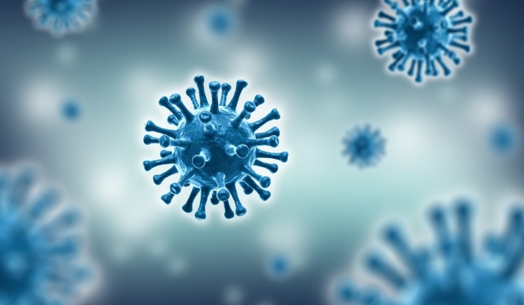 darstellung von coronaviren in blau