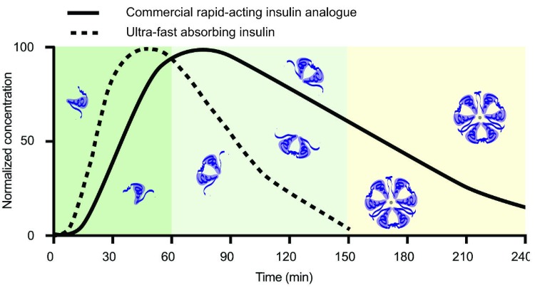 diagramm für schnell wirkendes insulin bei diabetischen schweinen von forschern entwickelt