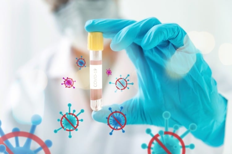 forscher testen coronavirus impstoff an blutproben im labor aufhalten covid 19