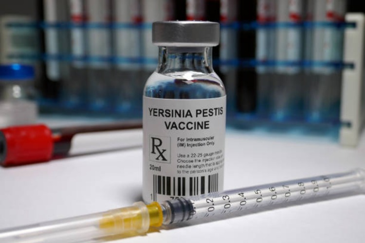 impfung gegen yersina pestis bakterie beulenpest erreger verhindern antibiotika verwenden