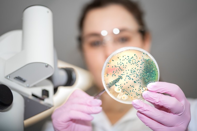 junge laborantin mikrobiologie e coli nissle stamm nützlich forschung