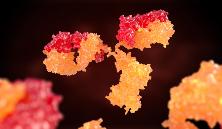 menschliche antikörper immunoglobuline binden an virus
