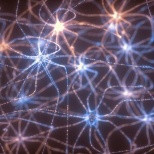 nervenzellen und neuronen synapse nervenplastik oxytocin wirkung