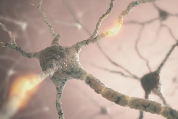 neuronen dargestellt in 3d animation nahaufnahme verbindungen teiefenhirnstimulation