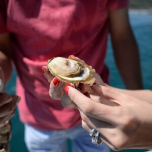 nährstoffmangel symptome durch angereicherte muscheln und austern bekämpfen