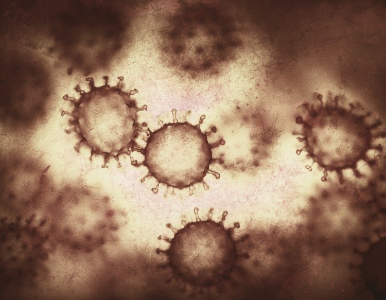vermehrung der viruspartikel bei covid 19 im körper von asymptomatischen patienten