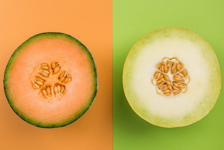 zuckermelonen sorten cantaloupe-melone und honigmelone im vergleich