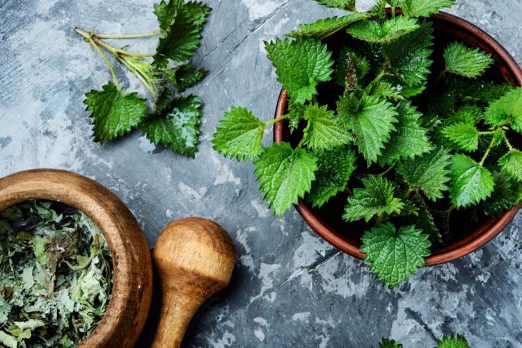 Drink nettle tea for dehydration tips and ideas