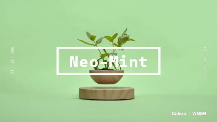 Color Neo Mint is a beautiful light green