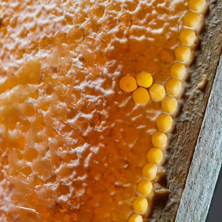 Fußbad selber machen mit Honig gegen Hornhaut an den Füßen