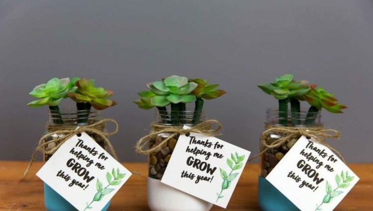 Geschenkidee für Lehrer - Kugelschreiber in Pflanzen verwandeln in einem Glas mit Kieselsteinen