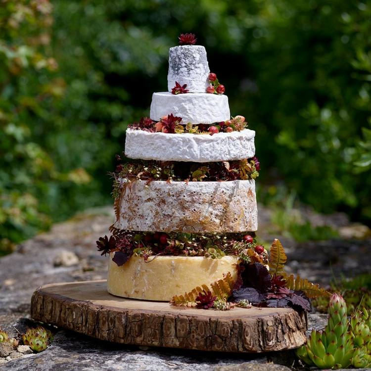 Wooden slice as a cake platter and autumnal layered cheese with fruits