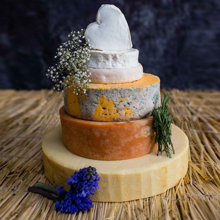 Käse Hochzeitstorte in unterschiedlichen Farben mit Schleierkraut und Rosmarin