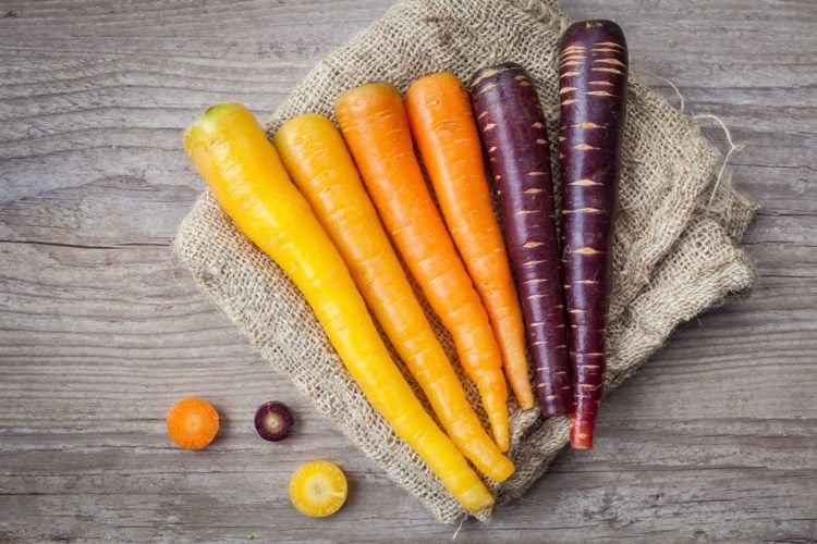 Orange und Lila Karotten vermitteln fröhliche Stimmung