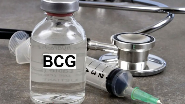 bcg impfung obligatorisch in vielen ländern könnte covid 19 verlangsamen