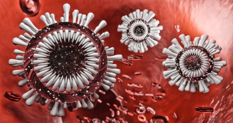 darstellung von coronaviren im kampf mit dem immunsystem im organismus