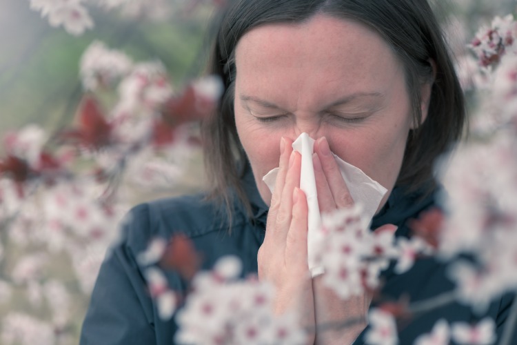 der klimawandel kann neuartige pollenallergien verursachen