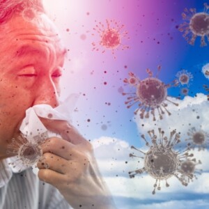 immunantwort auf viren durch allergische reaktion der klimawandel