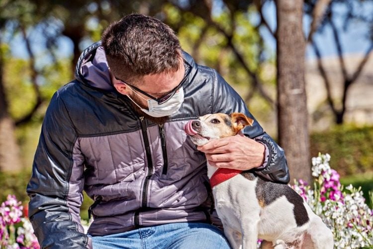 mann mit mundschutz streichelt seinen hund im park während quarantäne aufgrund von coronavirus