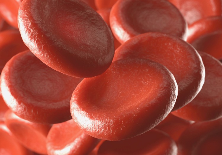 production of red blood cells in anemia with the help of erythropoietin hormone