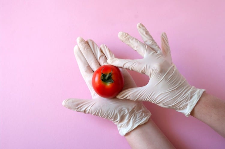 reife tomate mit gummihandschuhen halten