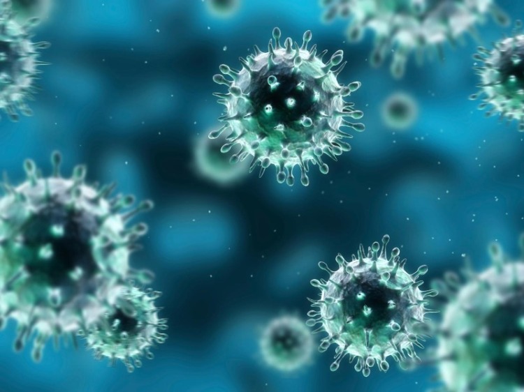 sars cov 2 replikationen von coronaviren aufhalten neue forschungen