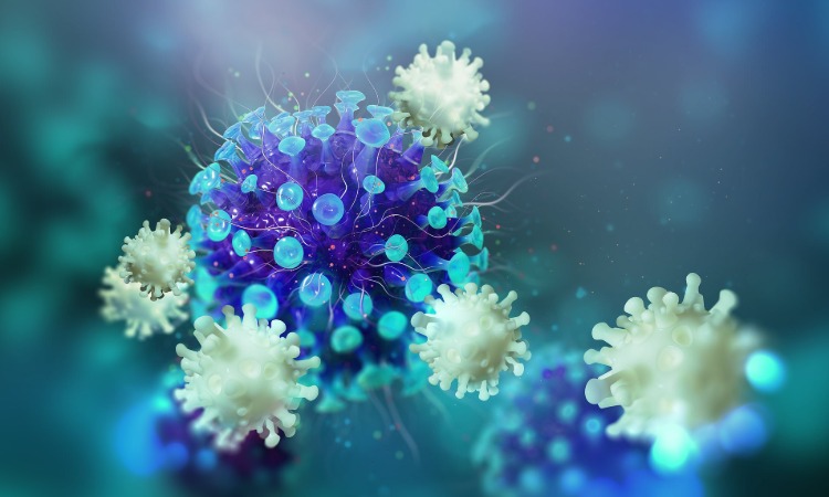 t cells as antibodies in a coronavirus infection