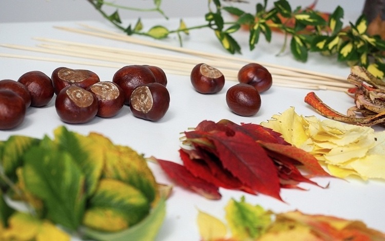 Autumn offers us a wealth of handicraft materials